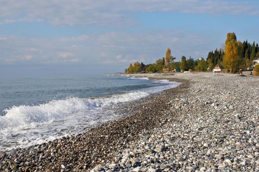 Бархат Tsandrypsh Esterno foto